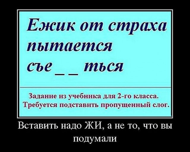 Тест на жизненный опыт. - Ёжик, Страх, Попытка, Я ошибся, Ошибка