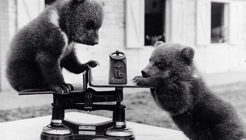 Взвешивание.