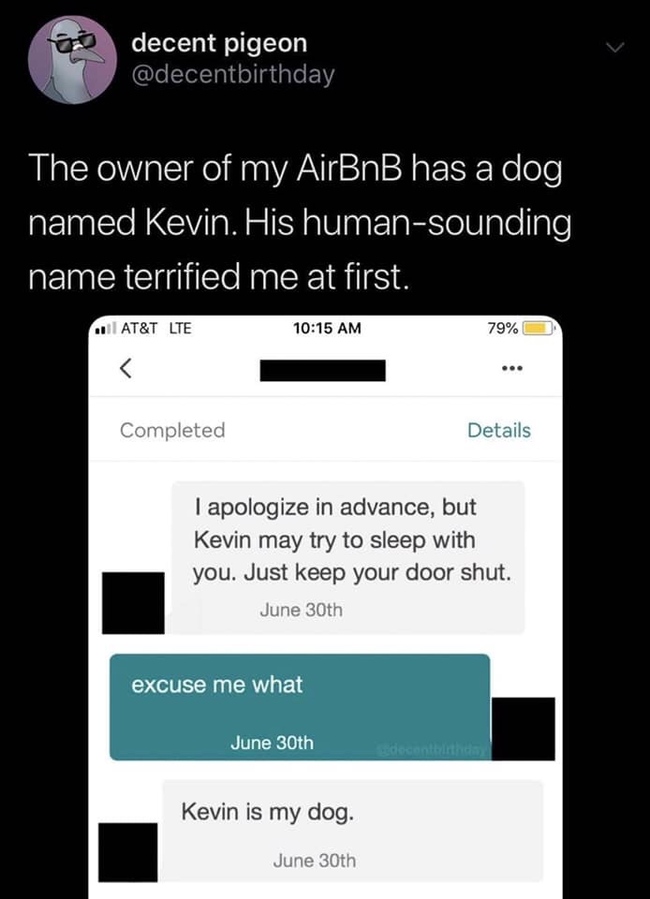 Correspondence with the owner of the apartment that the guy is going to rent through the AirBnB service - Airbnb, Dog, Lodging, Rental apartment, Neighbours