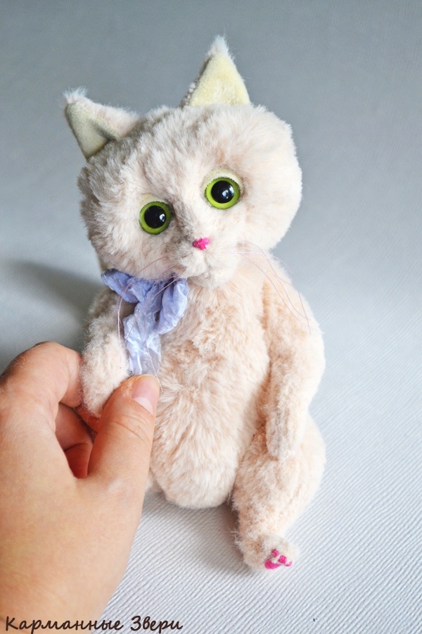 Julius cat - My, Pocket animals, Handmade, Author's toy, Needlework without process, Longpost, cat