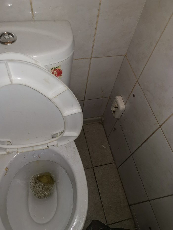 Question to Lukoil: FUCK??? - My, Toilet, Refueling, Power socket, For what?