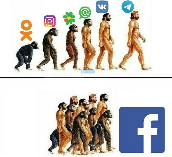 Users - Evolution, Facebook, classmates, In contact with, Icq, Instagram, Telegram, Images