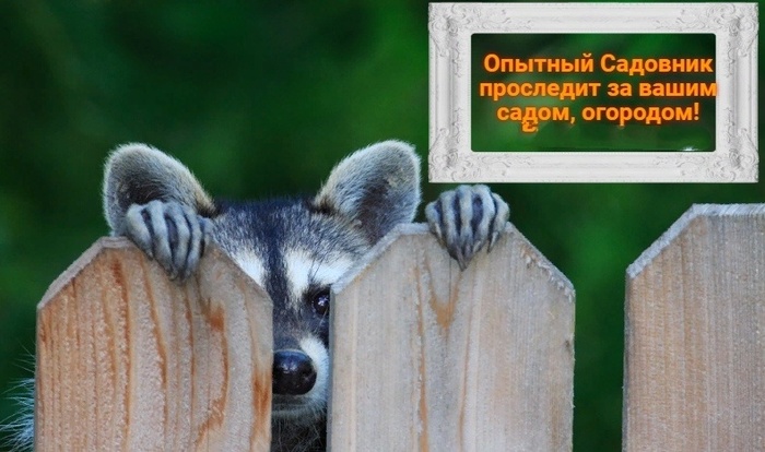 ��� �� ��� � ���� �������?