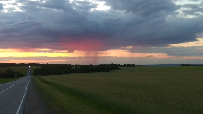 pink rain - My, The photo, Nature