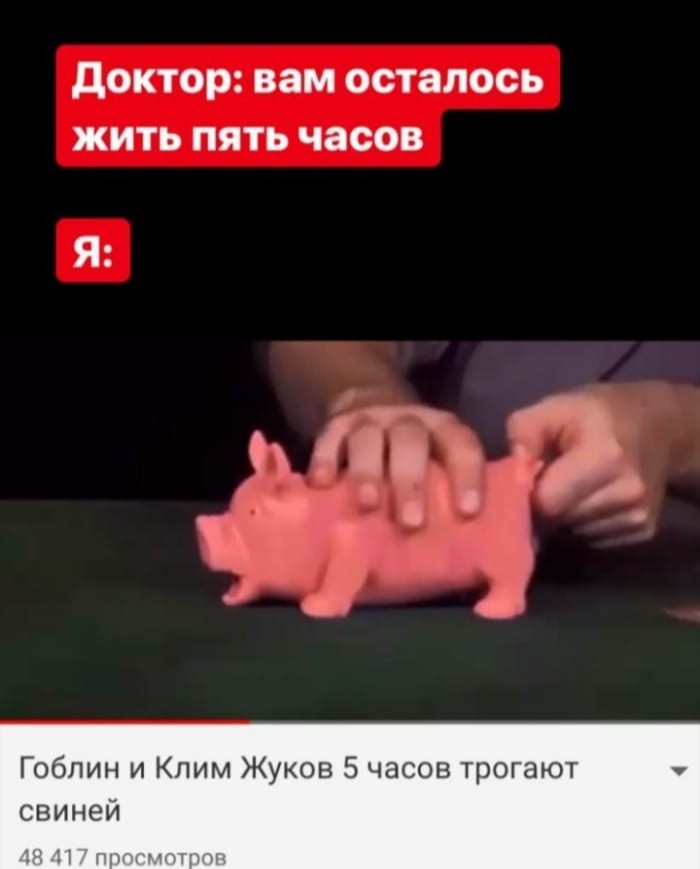 зачем гоблин нажимает на свинью. Смотреть фото зачем гоблин нажимает на свинью. Смотреть картинку зачем гоблин нажимает на свинью. Картинка про зачем гоблин нажимает на свинью. Фото зачем гоблин нажимает на свинью