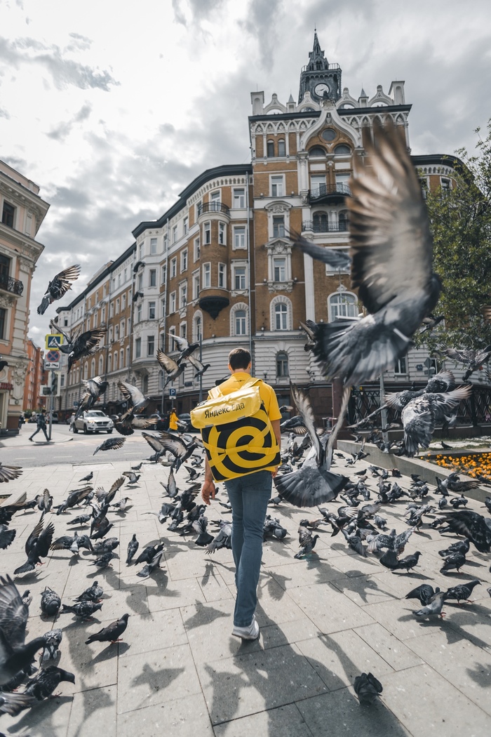 A second before ... - My, Yandex., Yandex Food, Food delivery, Pigeon