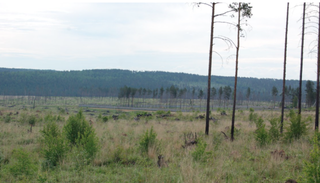 Causes of floods in the Irkutsk region - precipitation, snowmelt and deforestation - Irkutsk region, Flood, Tulun, Flood, Capitalism, Political assault, Longpost