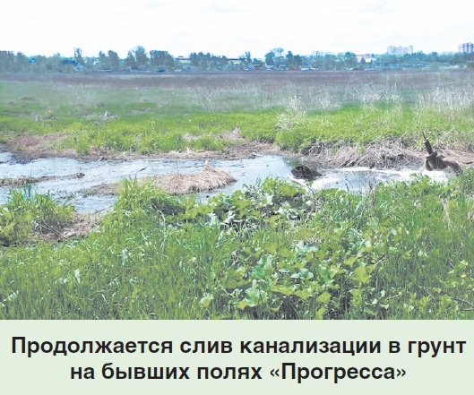 A city near Moscow has been draining sewage into the river for eight years - shit flows into the Klyazma, Oka and Volga - My, Staraya Kupavna, Sewerage, , Igor Sukhin, Politics, Longpost, Wastewater treatment plants