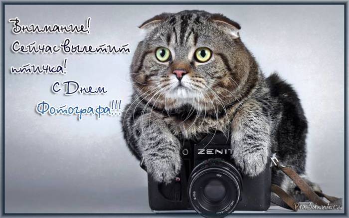 HAPPY PHOTOGRAPHER'S DAY!!! - Congratulation, Photographer's Day