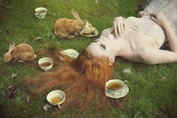 Tea drinking on the grass - Rabbit, Redheads