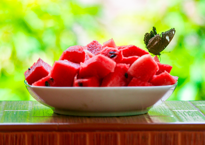 Another relatively honest way to determine the ripeness of a watermelon. - My, Summer, Watermelon, 