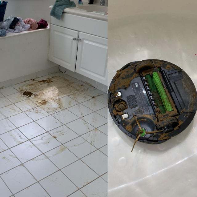 The vacuum cleaner continued to clean the house after driving over the puppy's shit - Reddit, Robot Vacuum Cleaner, Puppies, Feces