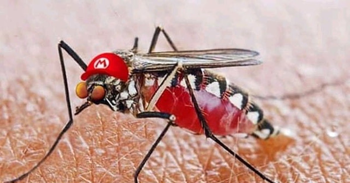 Малярия животное. Малярия фон.