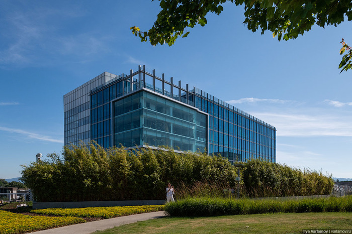 Самый крутой офис "Гугл": не работа, а курорт Google, Калифорния, Кремниевая Долина, Офис, США, Сан-Хосе, Длиннопост