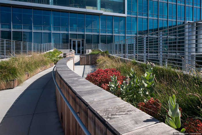 Самый крутой офис "Гугл": не работа, а курорт Google, Калифорния, Кремниевая Долина, Офис, США, Сан-Хосе, Длиннопост