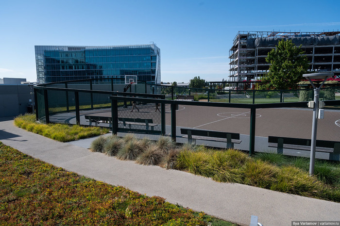 Самый крутой офис "Гугл": не работа, а курорт Google, Калифорния, Кремниевая Долина, Офис, США, Сан-Хосе, Длиннопост