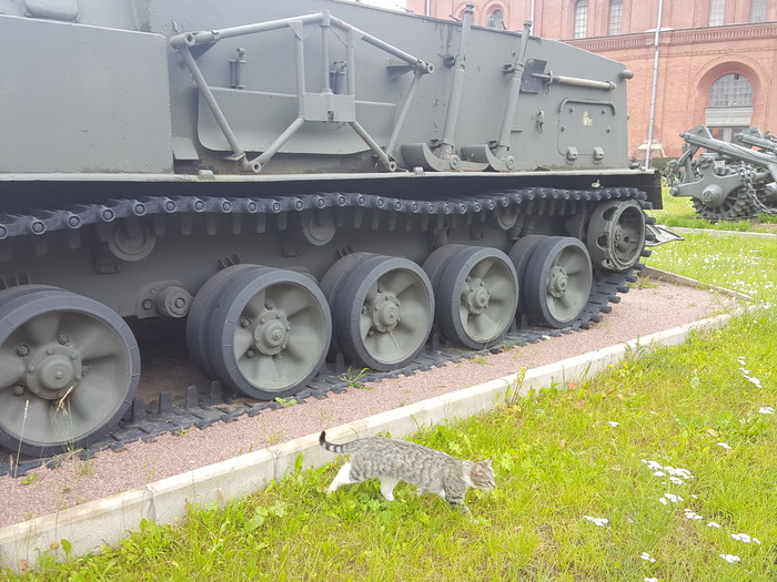 Crew! - cat, Catomafia, Artillery Museum, Saint Petersburg, Longpost