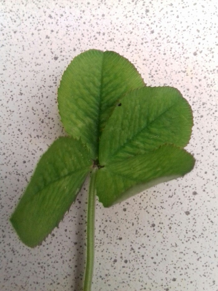 Всё будет хорошо!