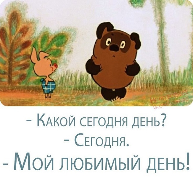 Today I learned that the salaries of half of Russians were below 35 thousand rubles - news, Truth, Winnie the Pooh, Everything, Joy, Happiness, Humor