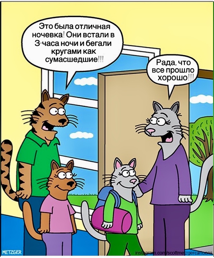 If cats were people (2) - Comics, cat, If, Catomafia, Longpost, Metzger, What if