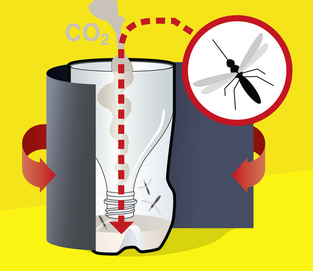 Самодельные ловушки для борьбы с комарами