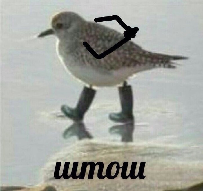   .   ..! , , , , 