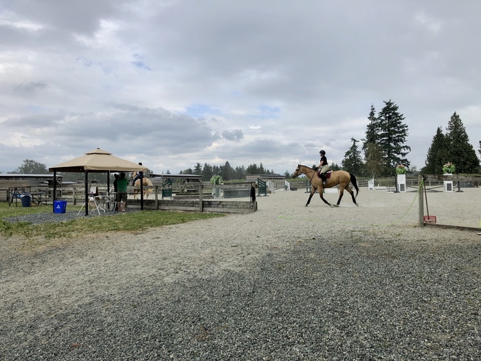 Two days in Canada - My, House, The street, Country, Purity, Safety, Order, Happiness, Canada, Longpost