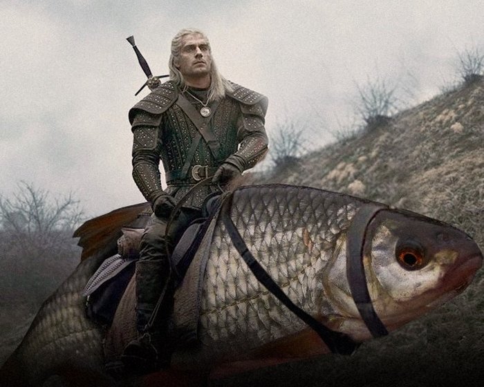 Шевелись, Плотва!