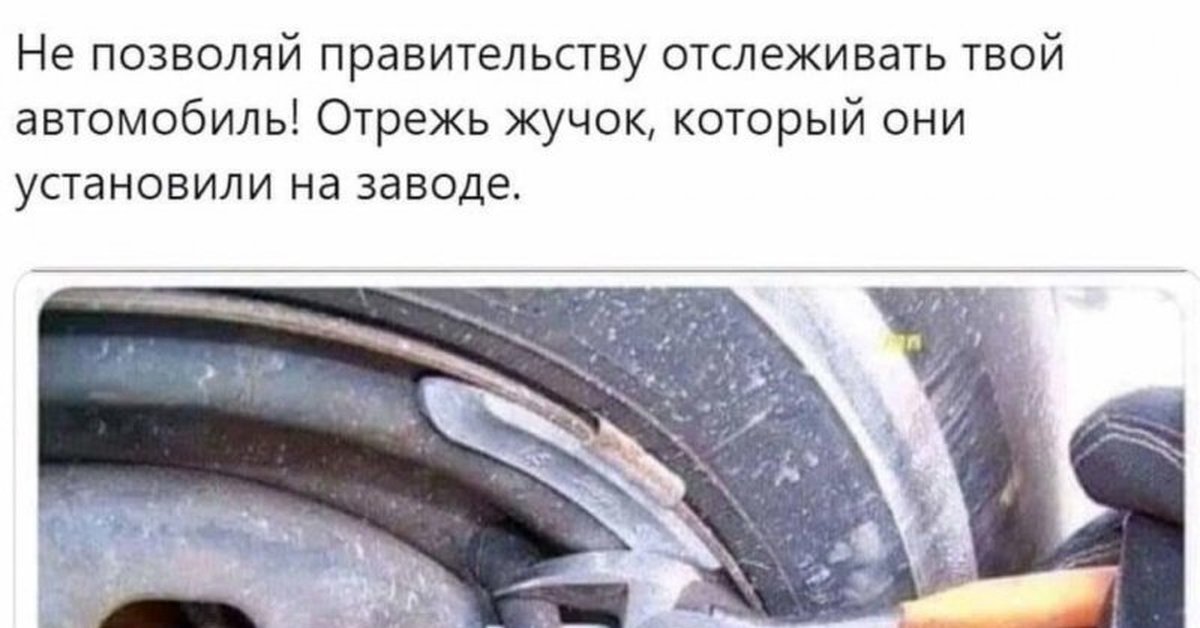 Сначала план по спасению жучки
