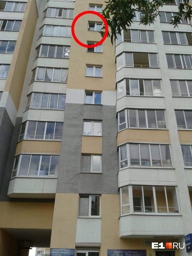 Yekaterinburger descended on a rope to the eighth floor and pulled out a kitten stuck in a window - Yekaterinburg, cat, Window, Stuck, The rescue, Video, Longpost