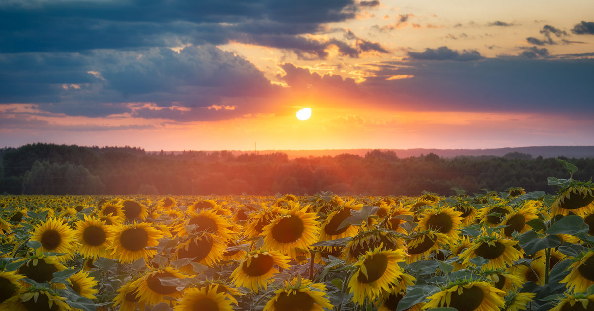 Украина Пейзажи