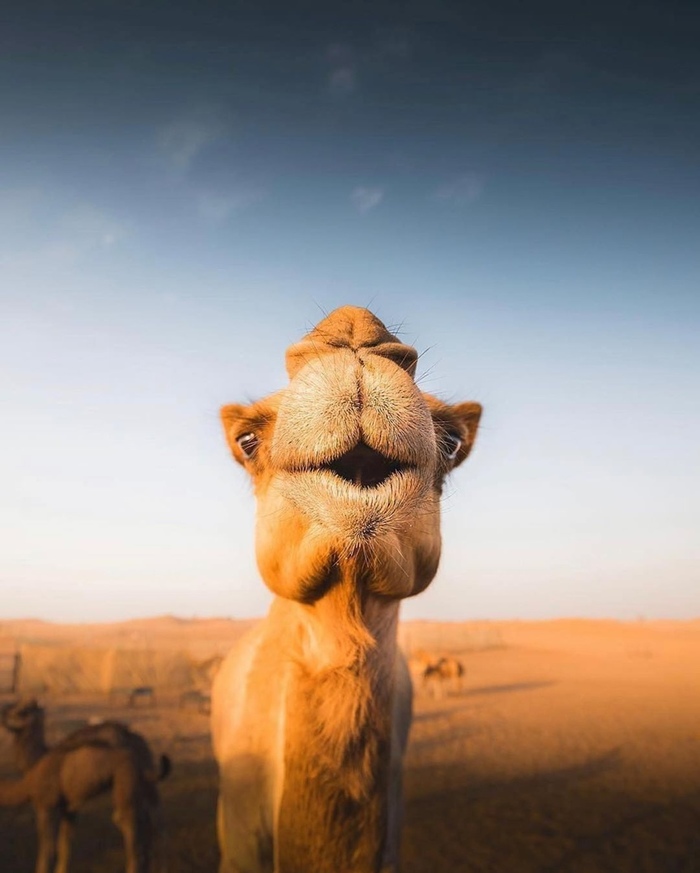 �� �������. ��� ������ - �� ������ xD