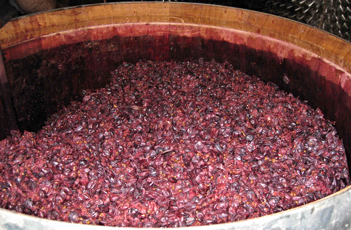 Про Амароне. | Пикабу