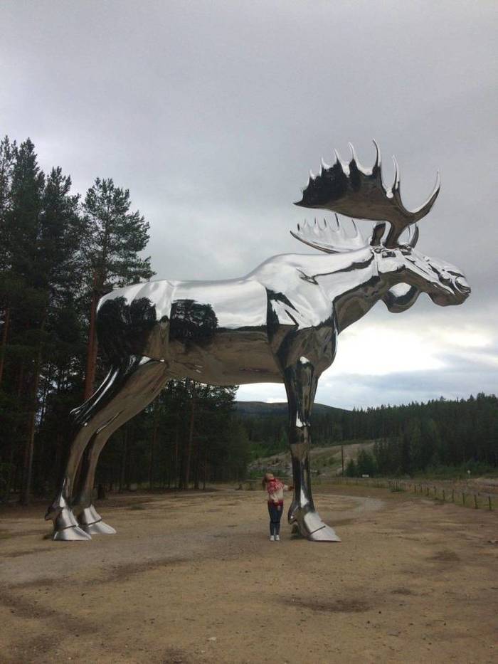 Sculpture in Rondane National Park, Norway - Sculpture, Elk, Norway, The size