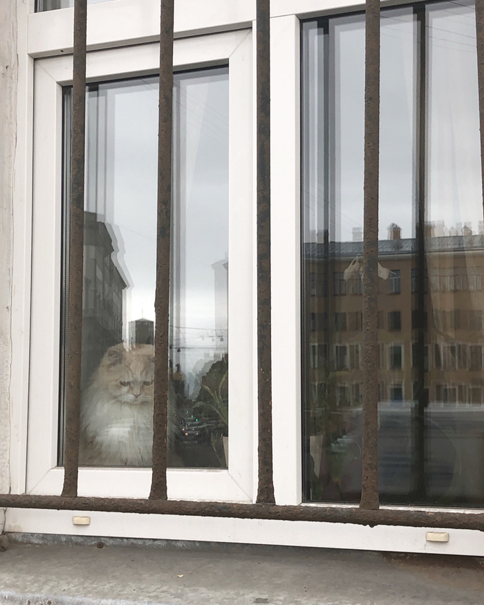 Когда открыл прогноз погоды в Питере