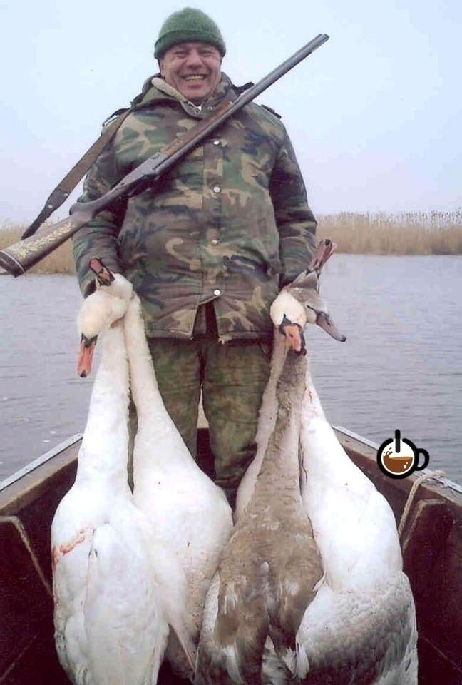 Found in the vastness of Runet. - , Poachers, Swans