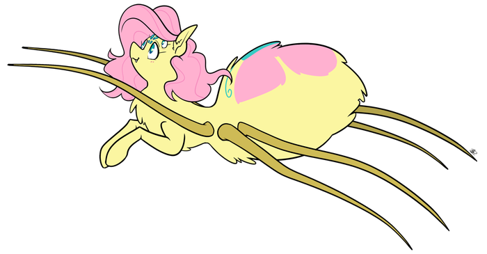 Spidershy My Little Pony, Fluttershy, Spiderpony, Spidershy