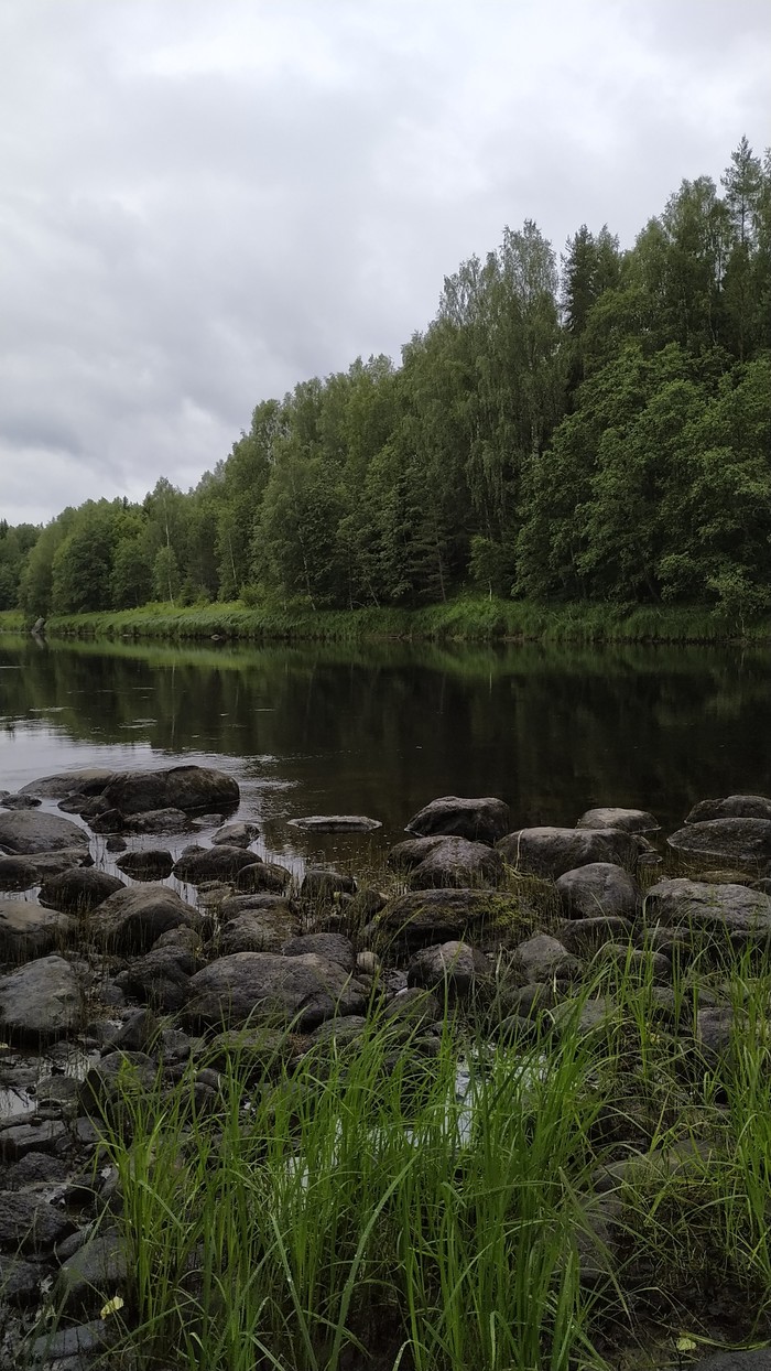 Река Шуя, Карелия. - Моё, Карелия, Река, Зелень, Берег, Вода, Начинающий фотограф, Фото на тапок, Длиннопост