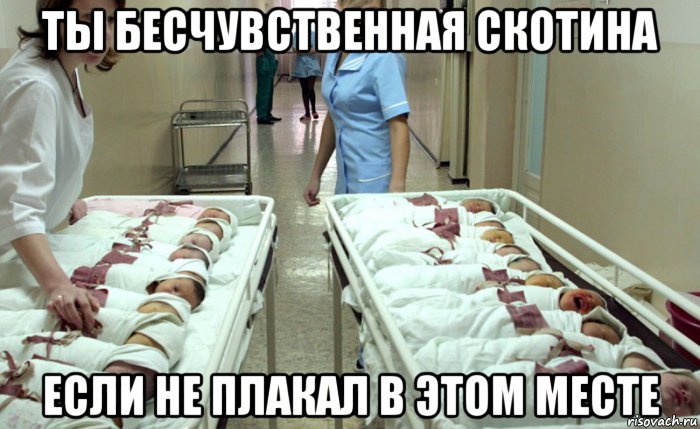 Did you cry? - My, Maternity hospital, Humor