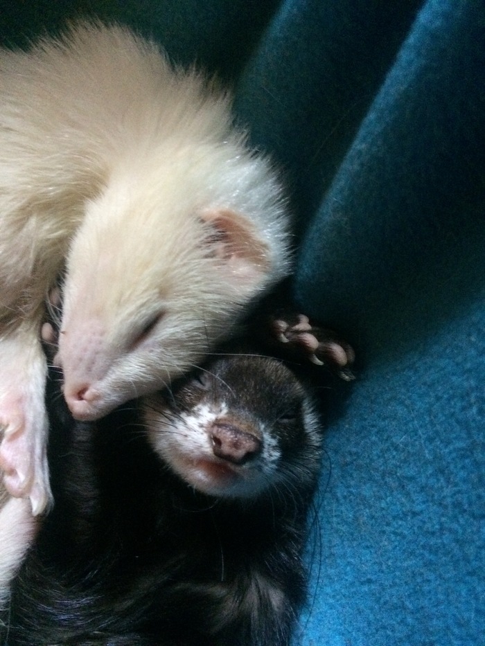 Спокойного сна пост