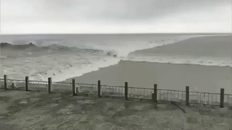 Waves - France, Wave, Suddenly, GIF