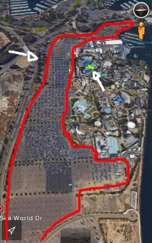 Коротко о том, почему многие против эксплуатации животных в цирках и пр. развлекательных мероприятиях.