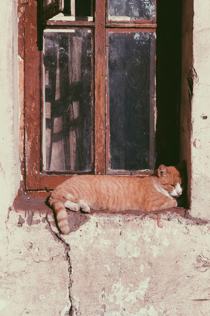 Местный житель