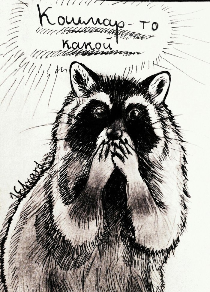 �����������.