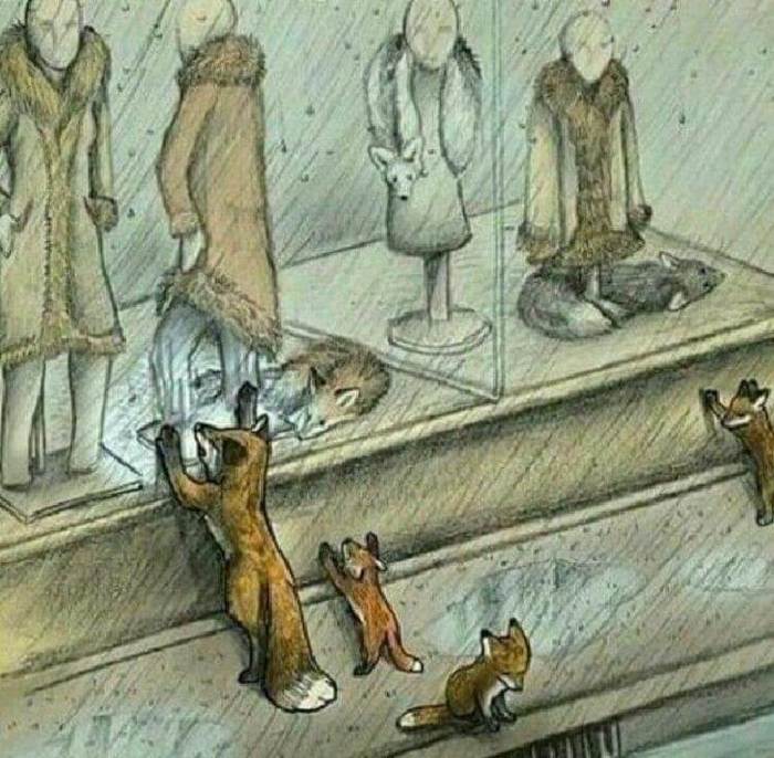     ,  ,   , , , , , 