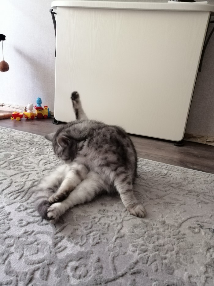 �� ��� �����