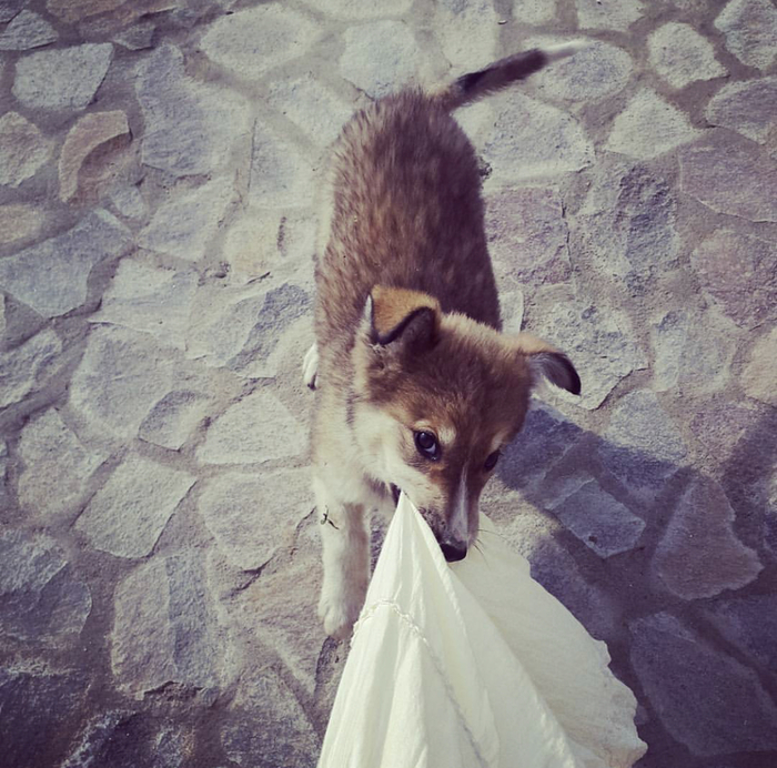 � ���� ��������� ��������...