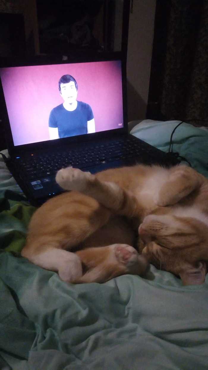 ����� ����