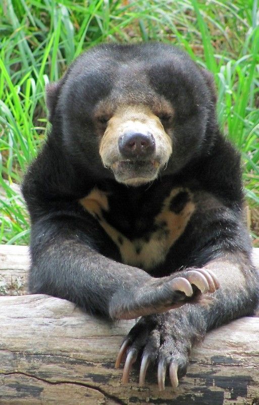 Я тебя спас и в благородство играть не буду