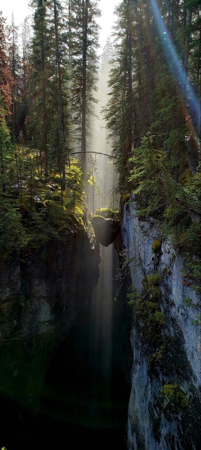 Canyon Maligne. - Nature, Canada, Jasper, beauty of nature, Longpost, Reddit, The photo